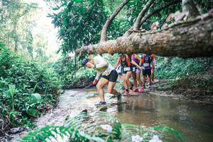 BIB: 
                            <button type="button" onclick="openModal(25462245)" class="btn btn-primary btn-sm float-right btn-popup" data-toggle="modal" data-target=".modal-high-quality">
                        <i class="fas fa-shopping-cart"></i> Add to Cart
                    </button>
                                            <button type="button" onclick="isThisMe(25462245, true)" class="btn btn-success btn-sm float-right btn-popup btn-isme hidden" data-toggle="tooltip" data-placement="bottom" title="นี่คือรูปของคุณใช่ไหม คลิกที่นี่เพื่อเอาเข้าอัลบั้ม">
                        <i class="fas fa-plus"></i> Add to album
                    </button>
                    <button type="button" onclick="isThisMe(25462245, false)" class="btn btn-warning btn-sm float-right btn-popup btn-isnotme hidden">
                        <i class="fas fa-ban"></i> Remove from album
                    </button>